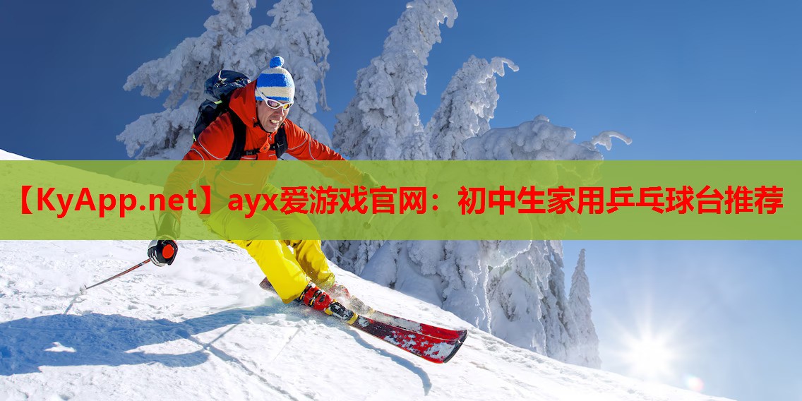 初中生家用乒乓球台推荐