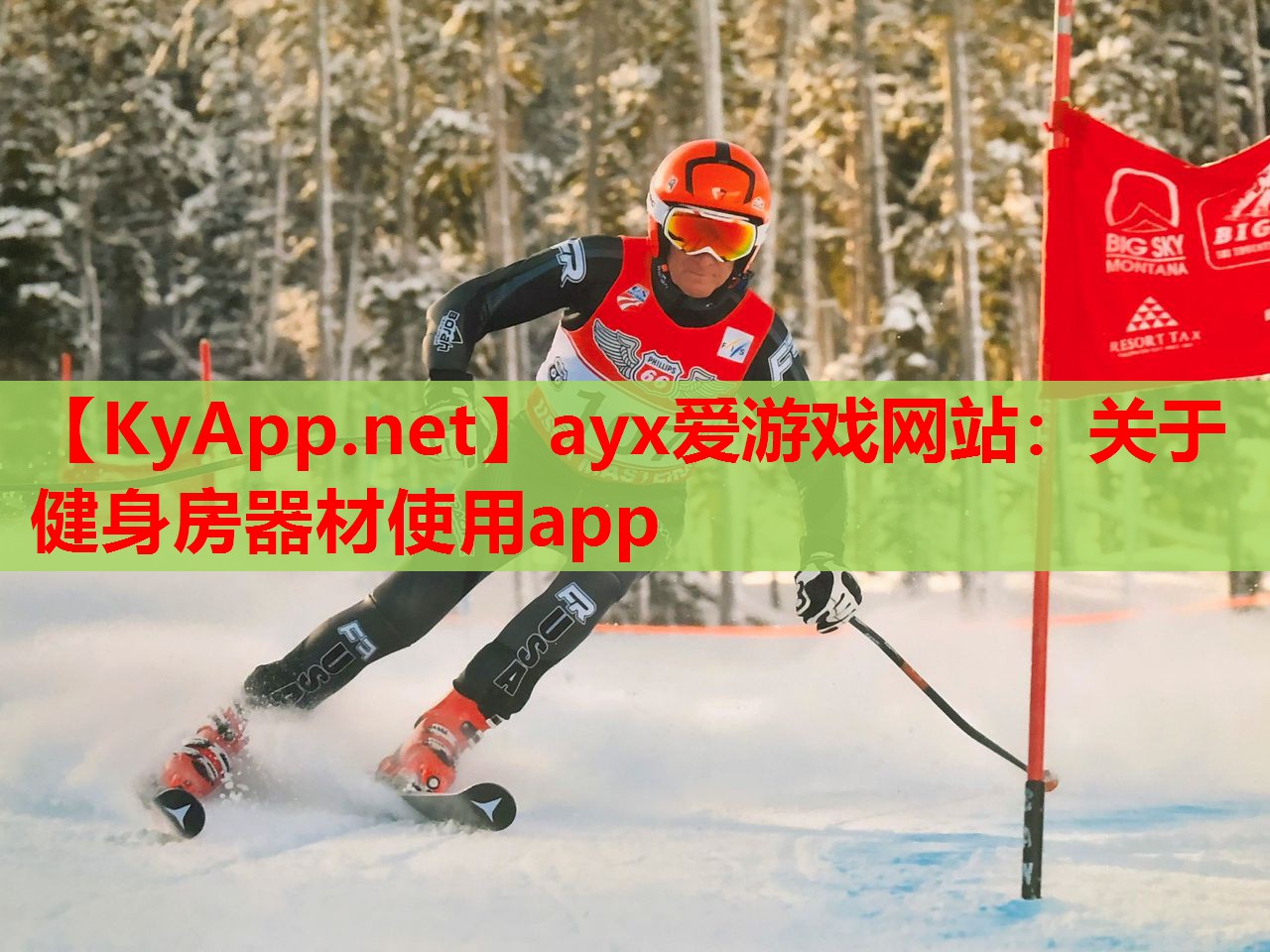 关于健身房器材使用app