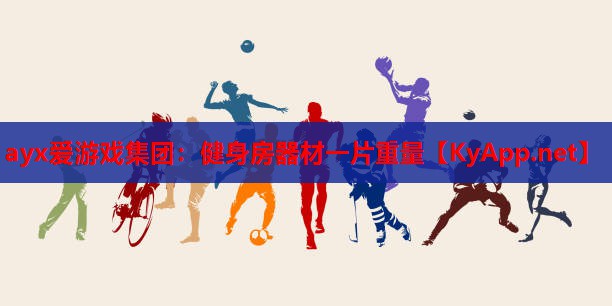 健身房器材一片重量