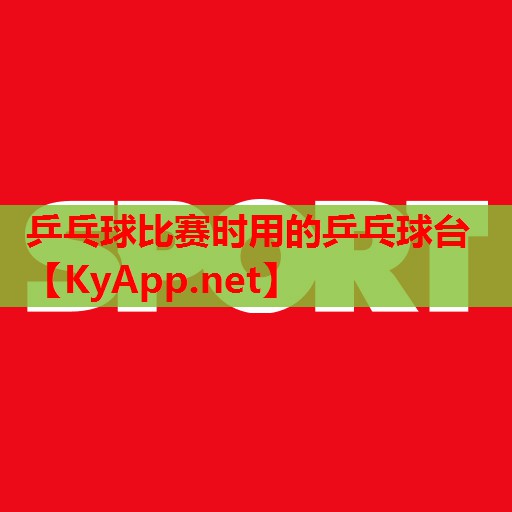 乒乓球比赛时用的乒乓球台