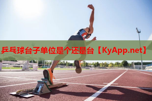 乒乓球台子单位是个还是台