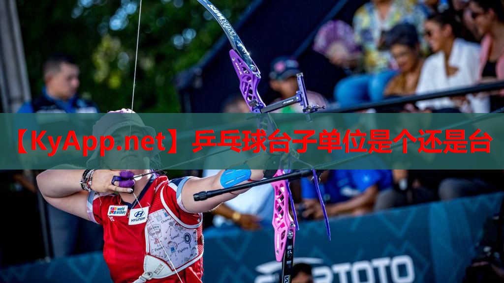 乒乓球台子单位是个还是台