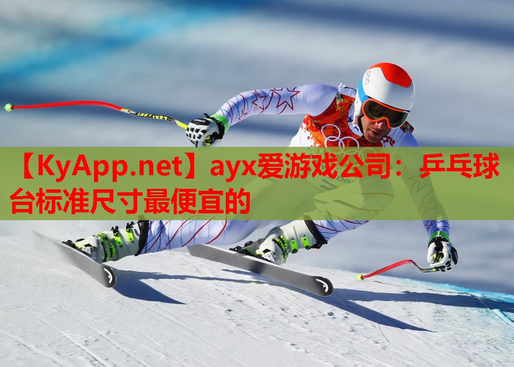 乒乓球台标准尺寸最便宜的