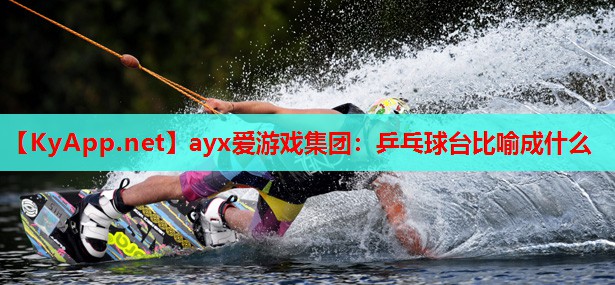 乒乓球台比喻成什么