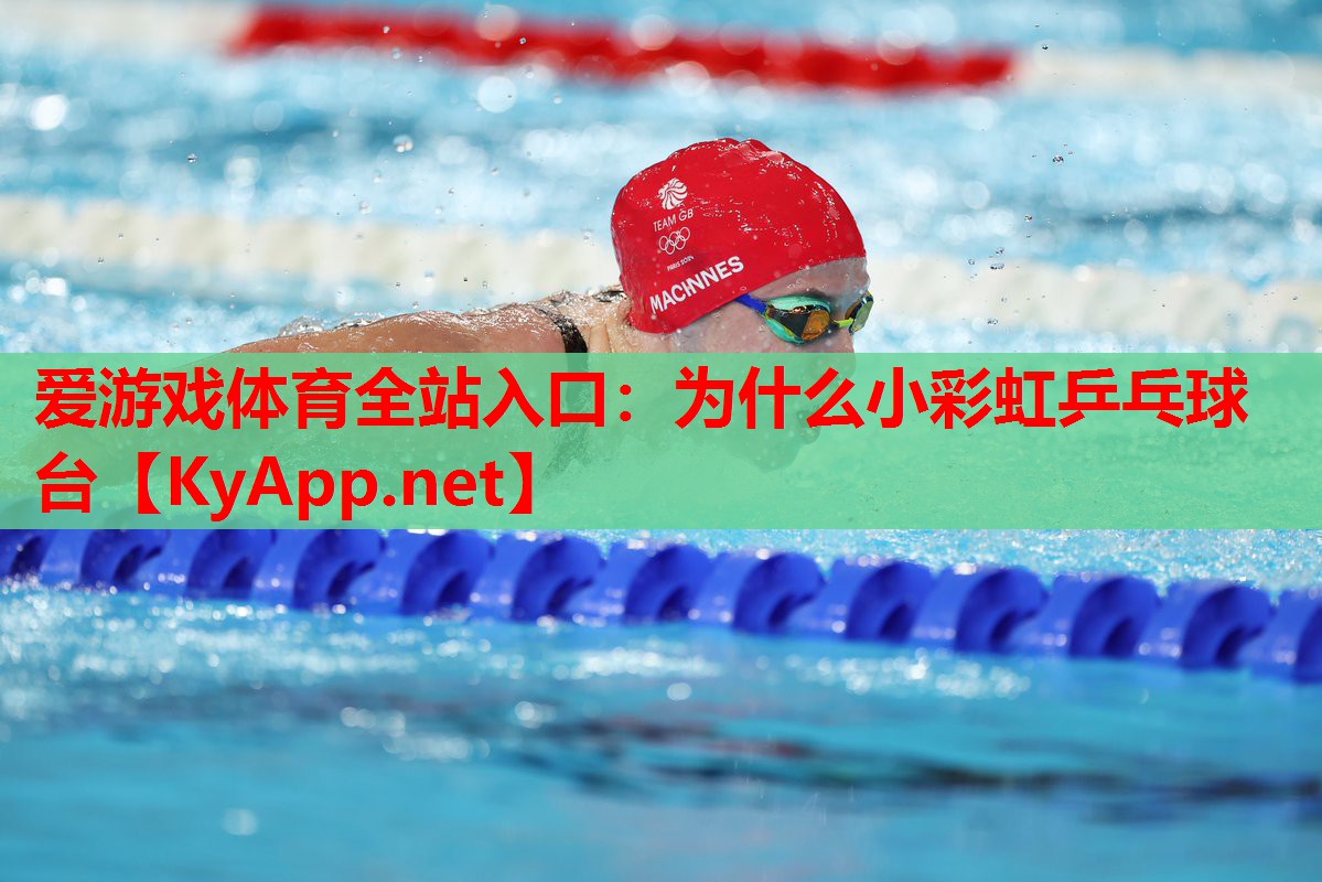 为什么小彩虹乒乓球台