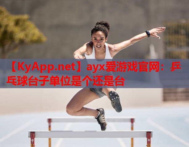 乒乓球台子单位是个还是台