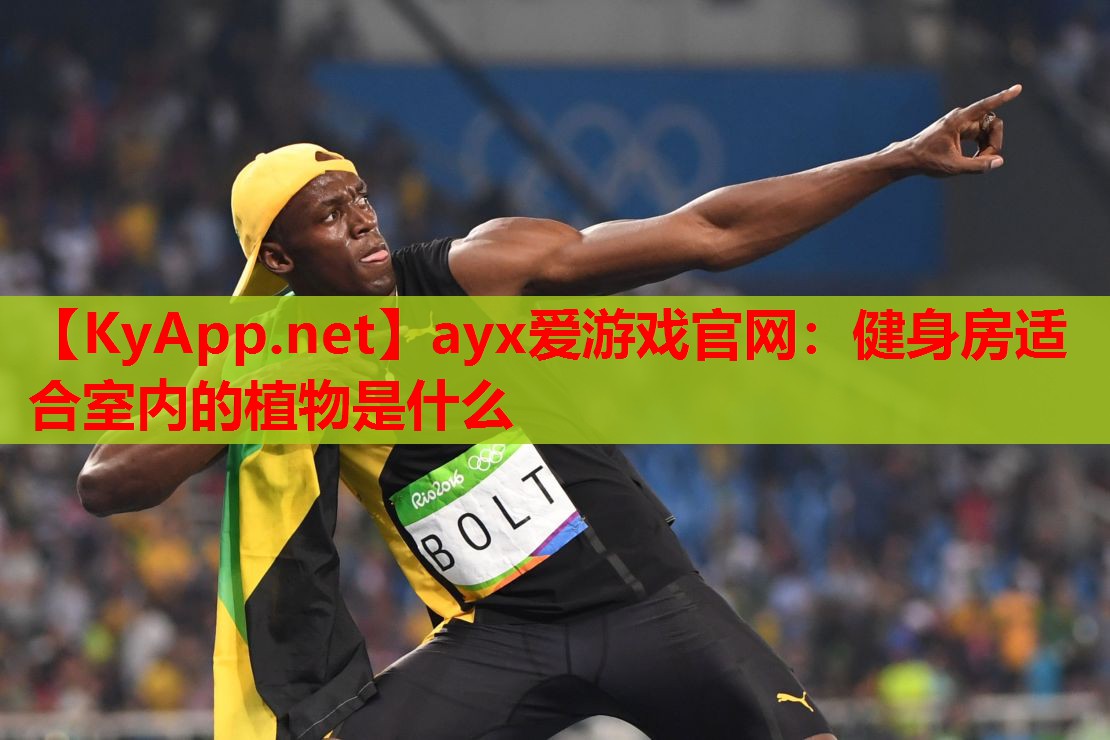 健身房适合室内的植物是什么