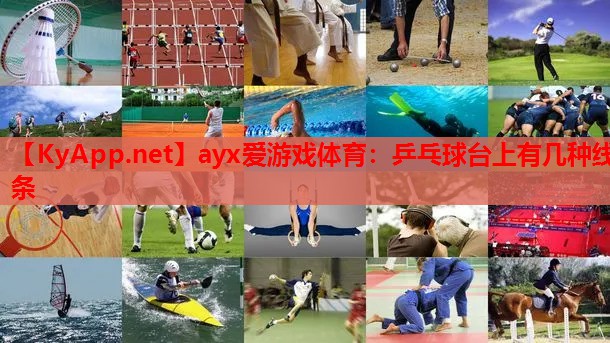 乒乓球台上有几种线条