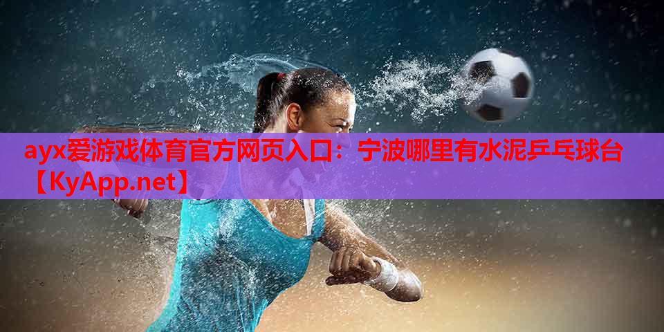宁波哪里有水泥乒乓球台