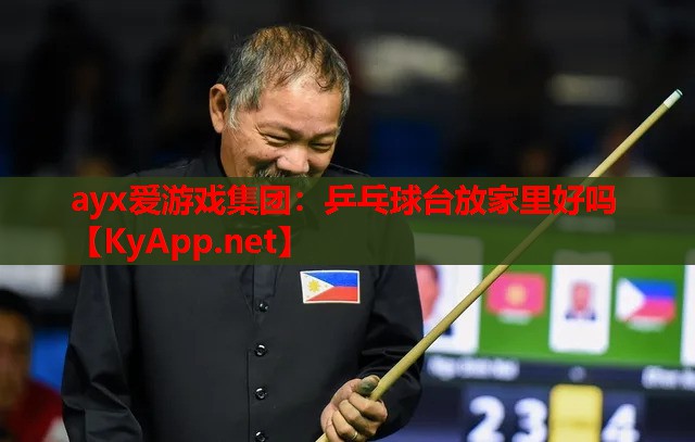 乒乓球台放家里好吗