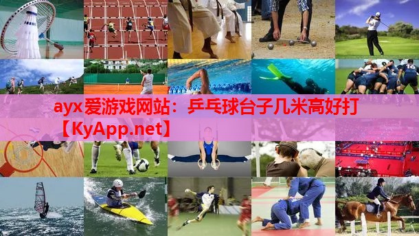 乒乓球台子几米高好打