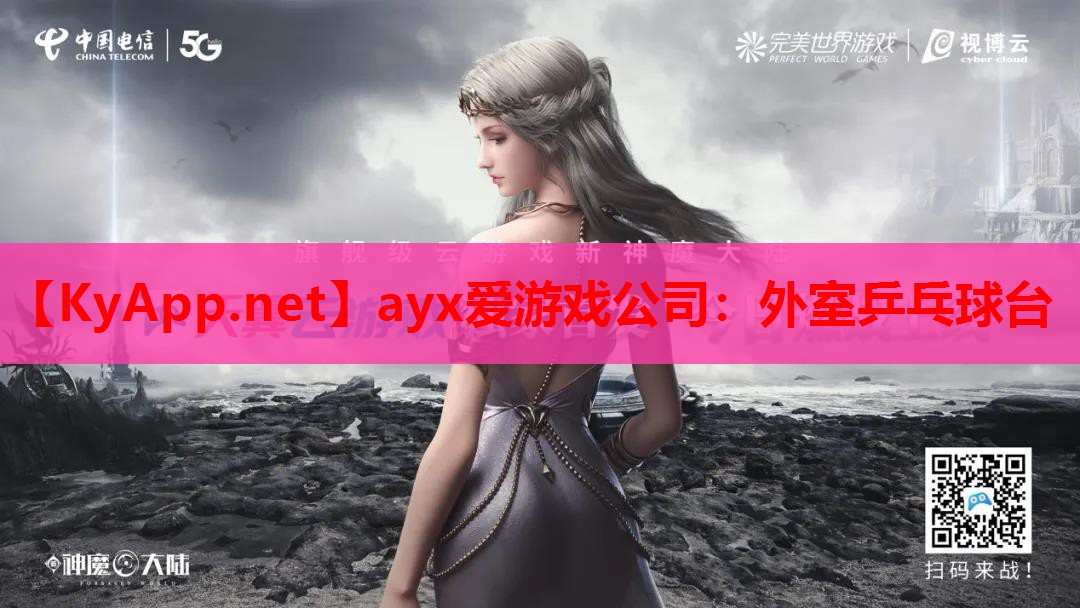 外室乒乓球台
