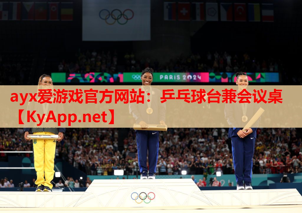 乒乓球台兼会议桌