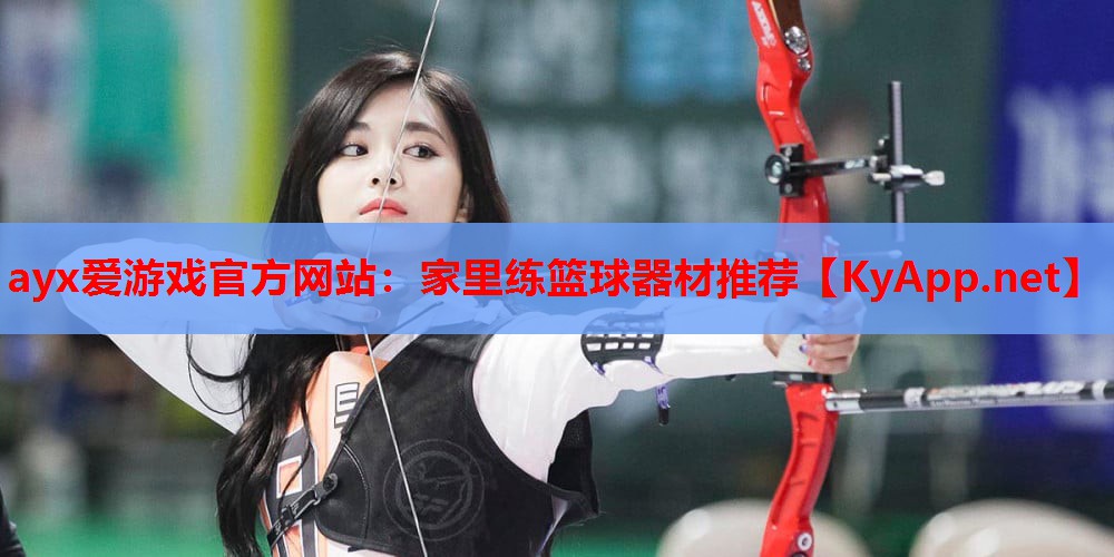 家里练篮球器材推荐