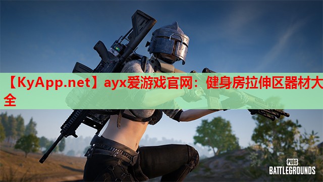 健身房拉伸区器材大全
