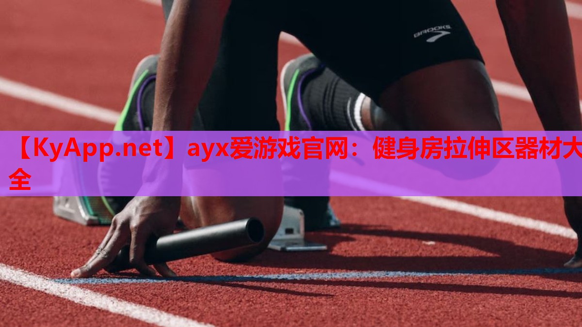 健身房拉伸区器材大全