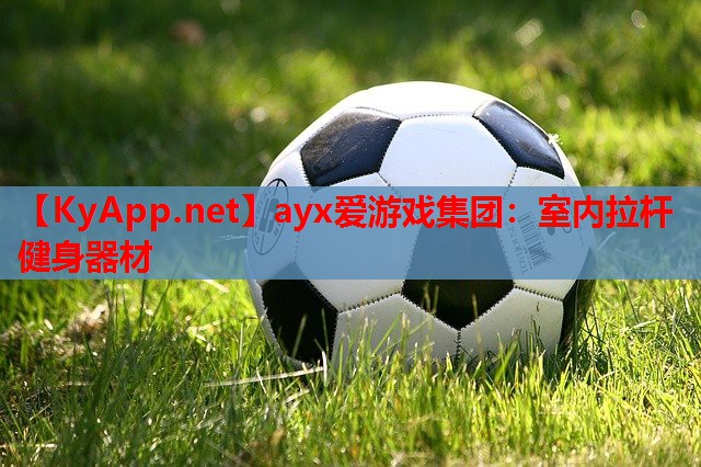 室内拉杆健身器材
