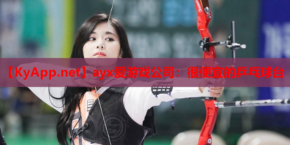 很便宜的乒乓球台