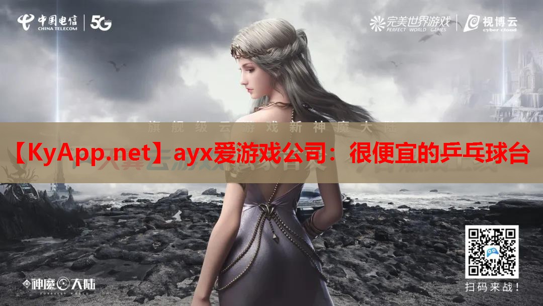 很便宜的乒乓球台