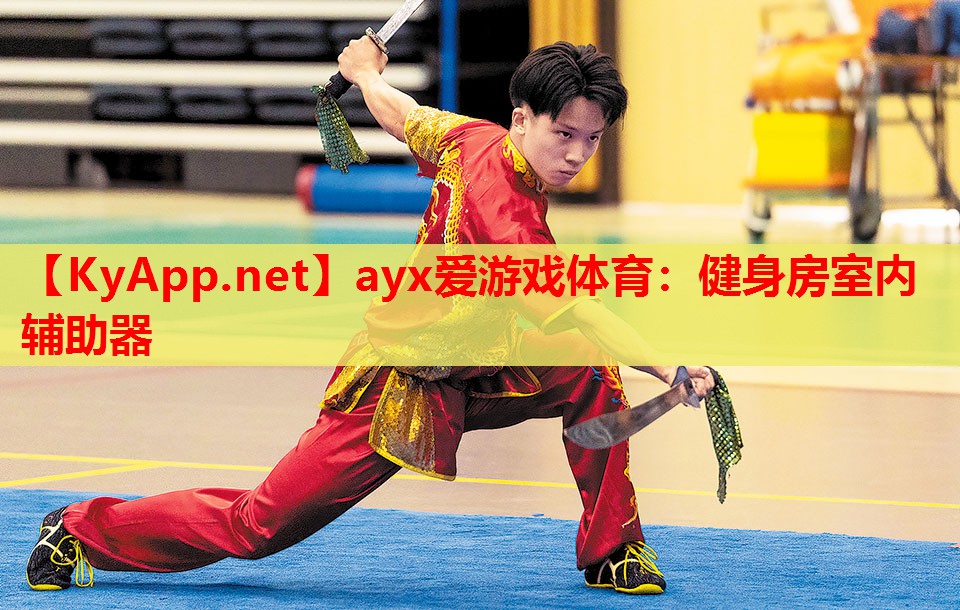 健身房室内辅助器