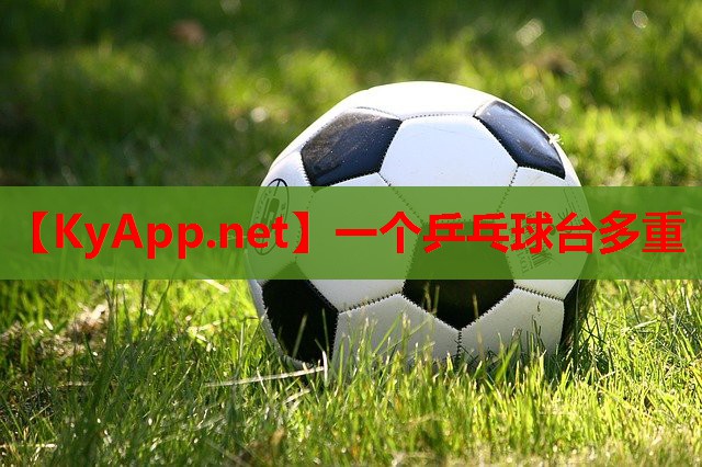 一个乒乓球台多重