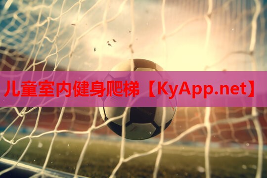 儿童室内健身爬梯