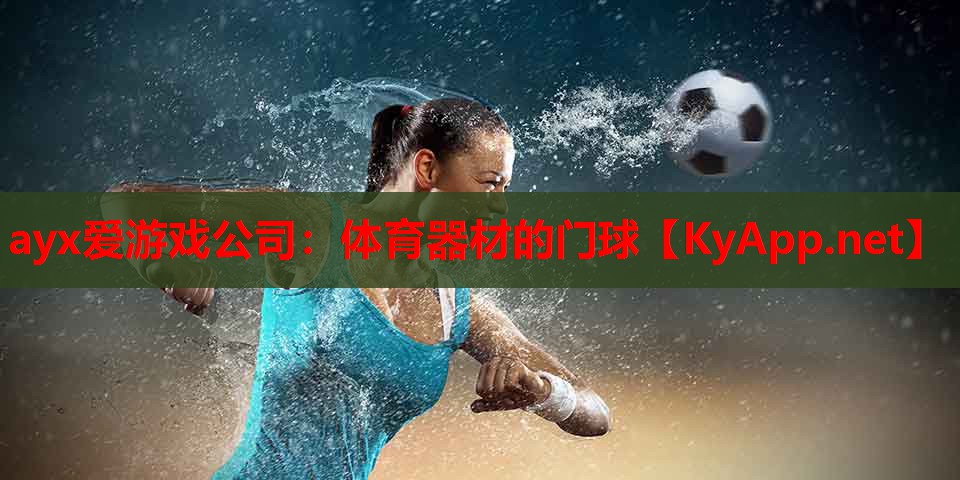 体育器材的门球