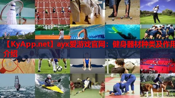 健身器材种类及作用介绍
