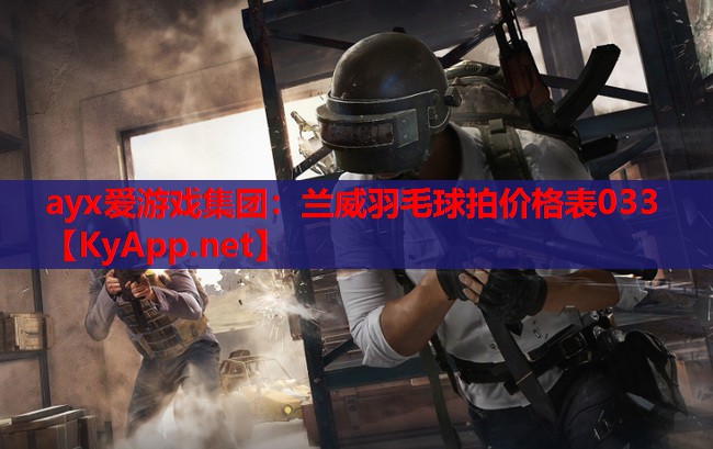兰威羽毛球拍价格表033