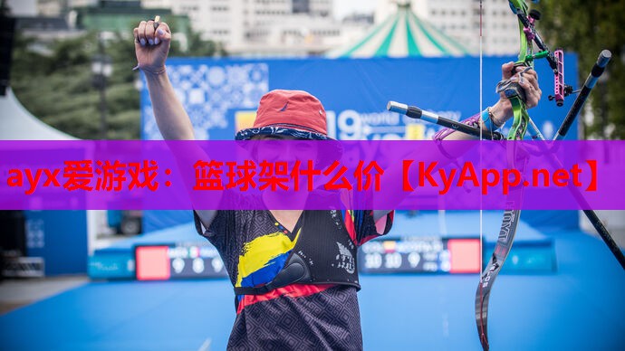 篮球架什么价