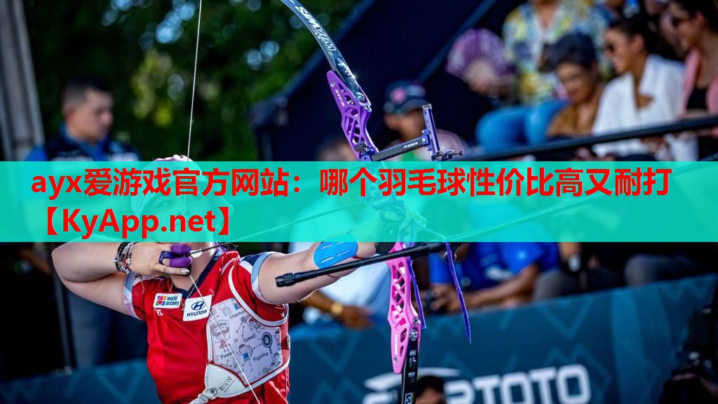 哪个羽毛球性价比高又耐打