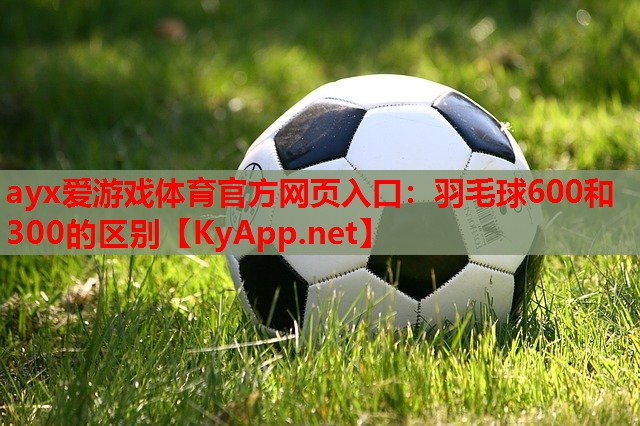 羽毛球600和300的区别