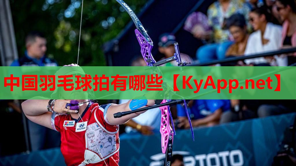 中国羽毛球拍有哪些