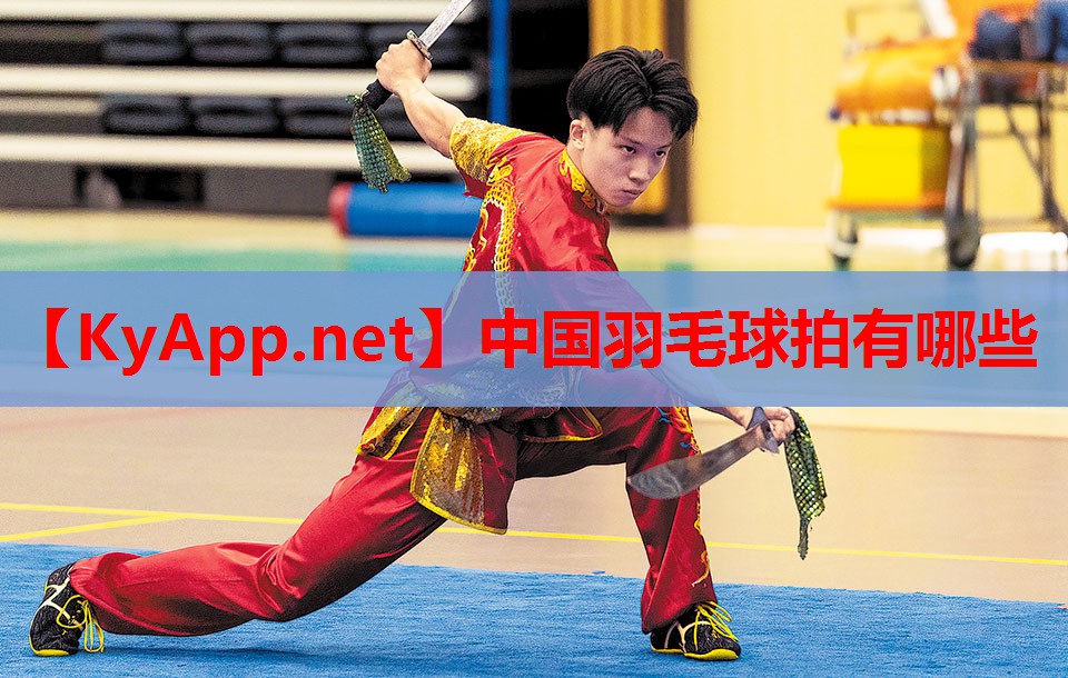 中国羽毛球拍有哪些