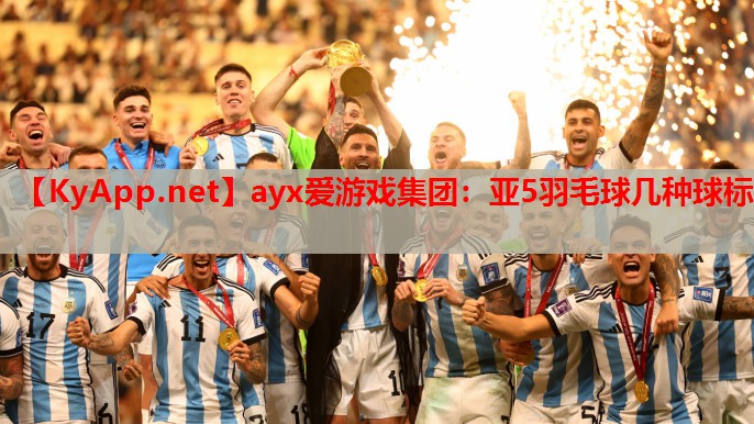 亚5羽毛球几种球标