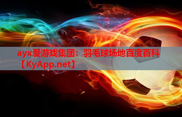 羽毛球场地百度百科