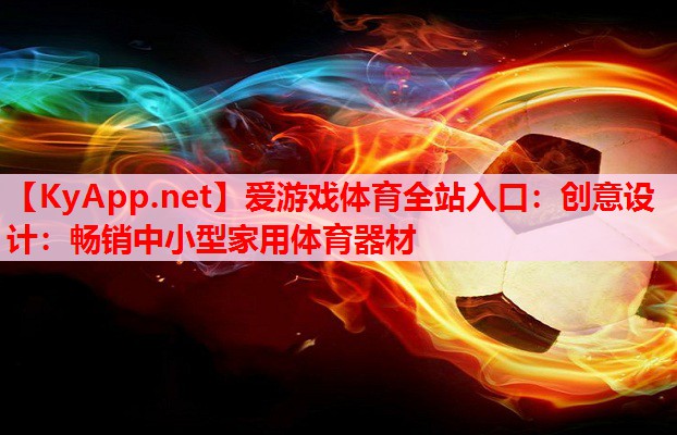 创意设计：畅销中小型家用体育器材