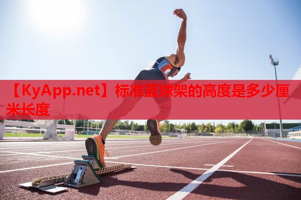 标准篮球架的高度是多少厘米长度