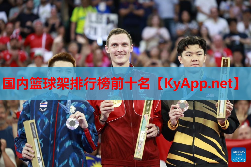 国内篮球架排行榜前十名