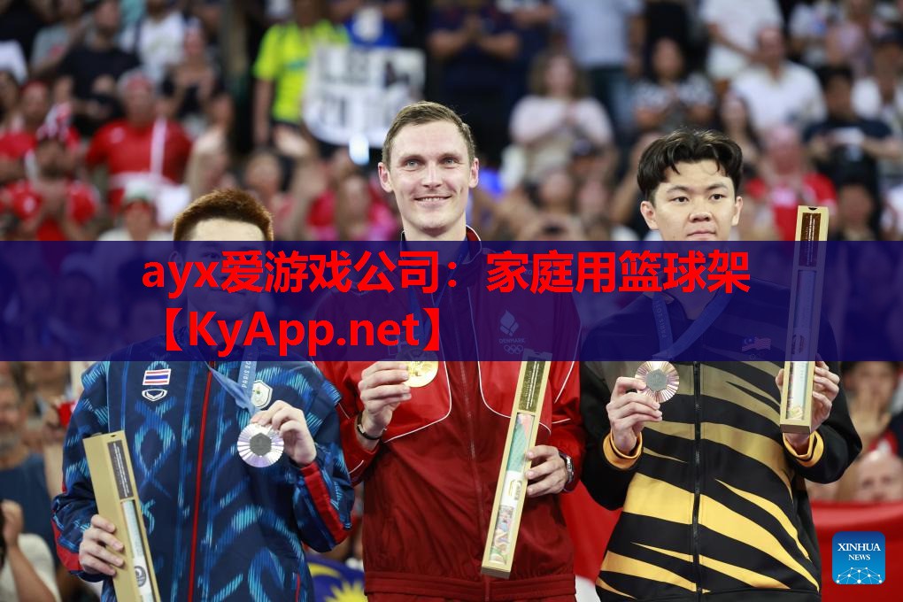 家庭用篮球架