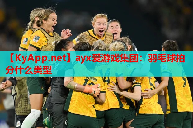 羽毛球拍分什么类型