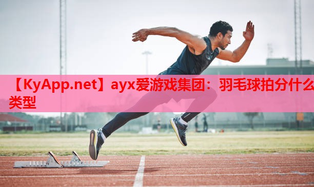 羽毛球拍分什么类型