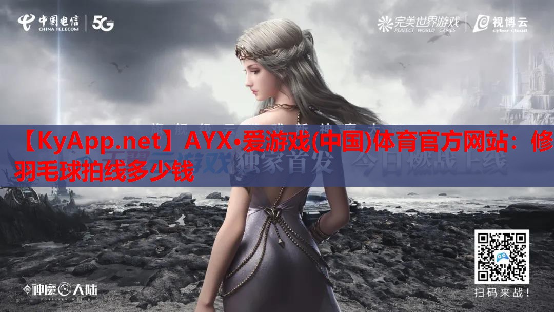 修羽毛球拍线多少钱