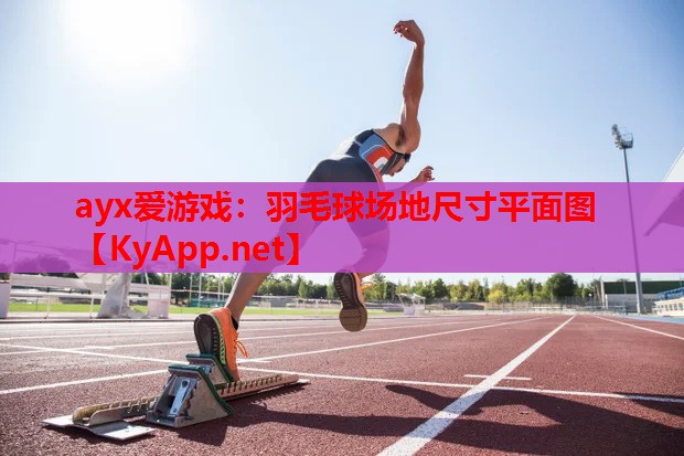 羽毛球场地尺寸平面图