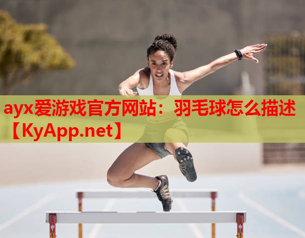 羽毛球怎么描述