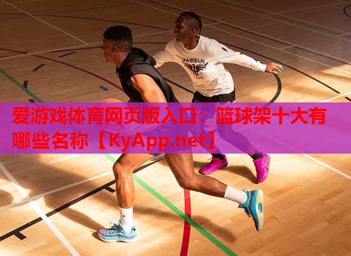 篮球架十大有哪些名称