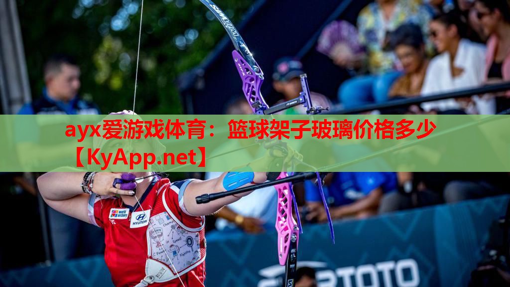 篮球架子玻璃价格多少
