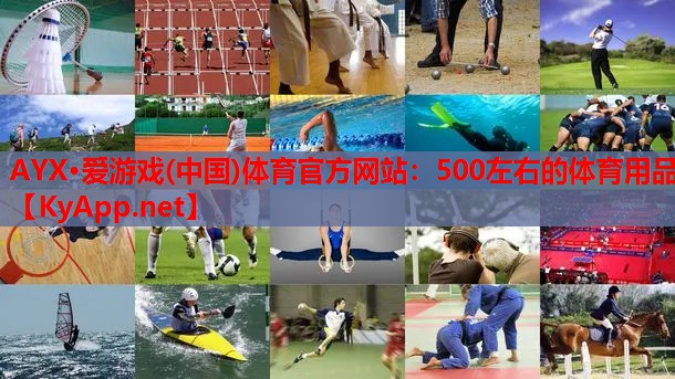 500左右的体育用品