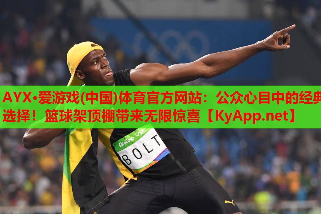 公众心目中的经典选择！篮球架顶棚带来无限惊喜