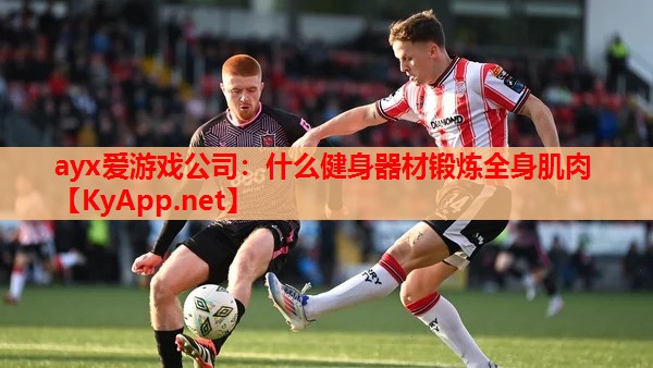 什么健身器材锻炼全身肌肉